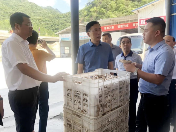 68魏增军一行在汉中市政协副主席朱智勤,李应德,留