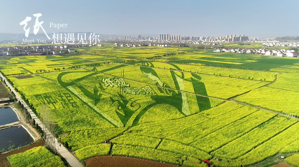 2023中国最美油菜花海汉中旅游文化节暨洋县第十四届梨花节盛大开幕_汉中市经济合作局