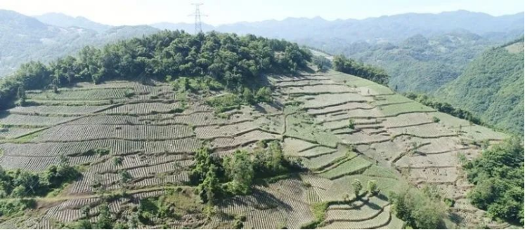 当前位置:>747_328